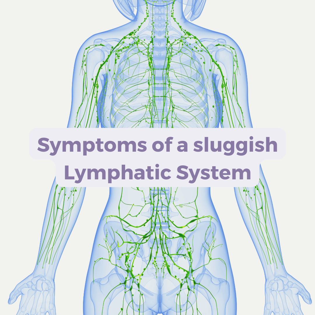 lymphatic fluid